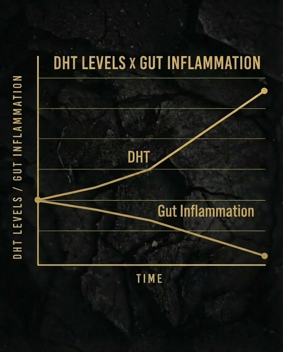 MaxDHT™ - Gut-Hormone Axis Support